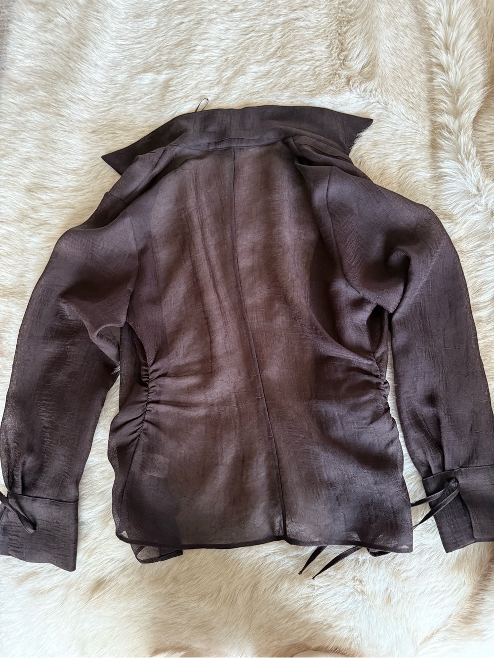 Zara Sheer Button-Front Blouse in Dark Brown - Picture 3 of 5